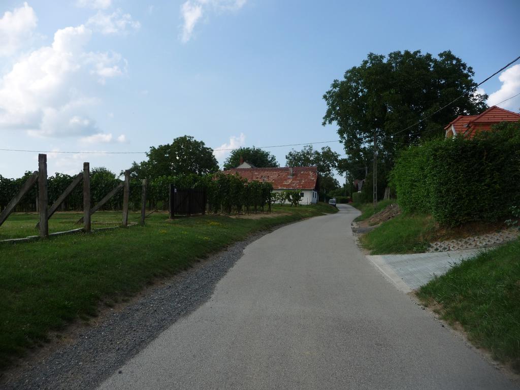 Foerhenc Wine House & Guesthouses I-Ii-Iii นาชคานีจา ภายนอก รูปภาพ